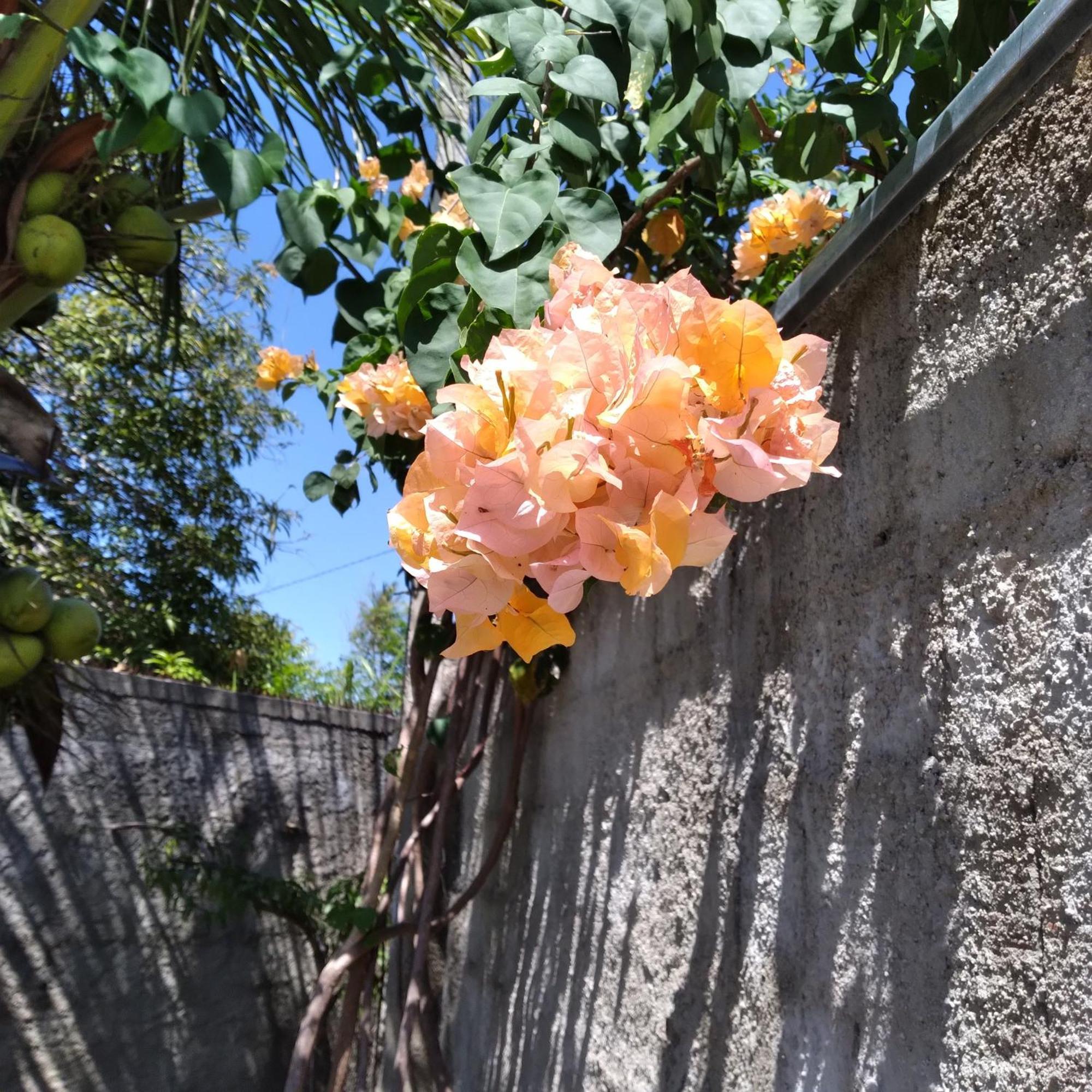 Casa China & Silva, Otima Casa Para Praia Ou Descanso, Proximo As Dunas Da Sabiaguaba E Shoppings Em Eusebio E Fortaleza Ce Екстериор снимка